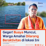 Geger! Buaya Muncul, Warga Amahai Dilarang Beraktivitas di lokasi Ini 